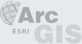 ArcGIS BW logo